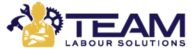 team labour solutions logo