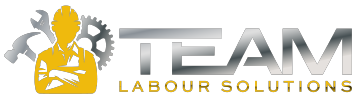 team labour solutions footer